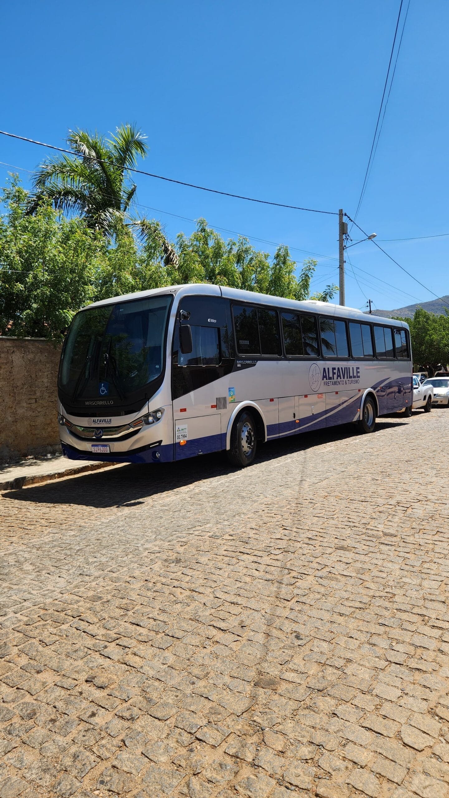 Ônibus executivo Alfaville 47 lugares para fretamento corporativo e turismo em Minas Gerais e Bahia.